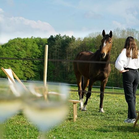 Tiny House Centre Equestre - 35 Mins De Paris Villa Chambly Kültér fotó