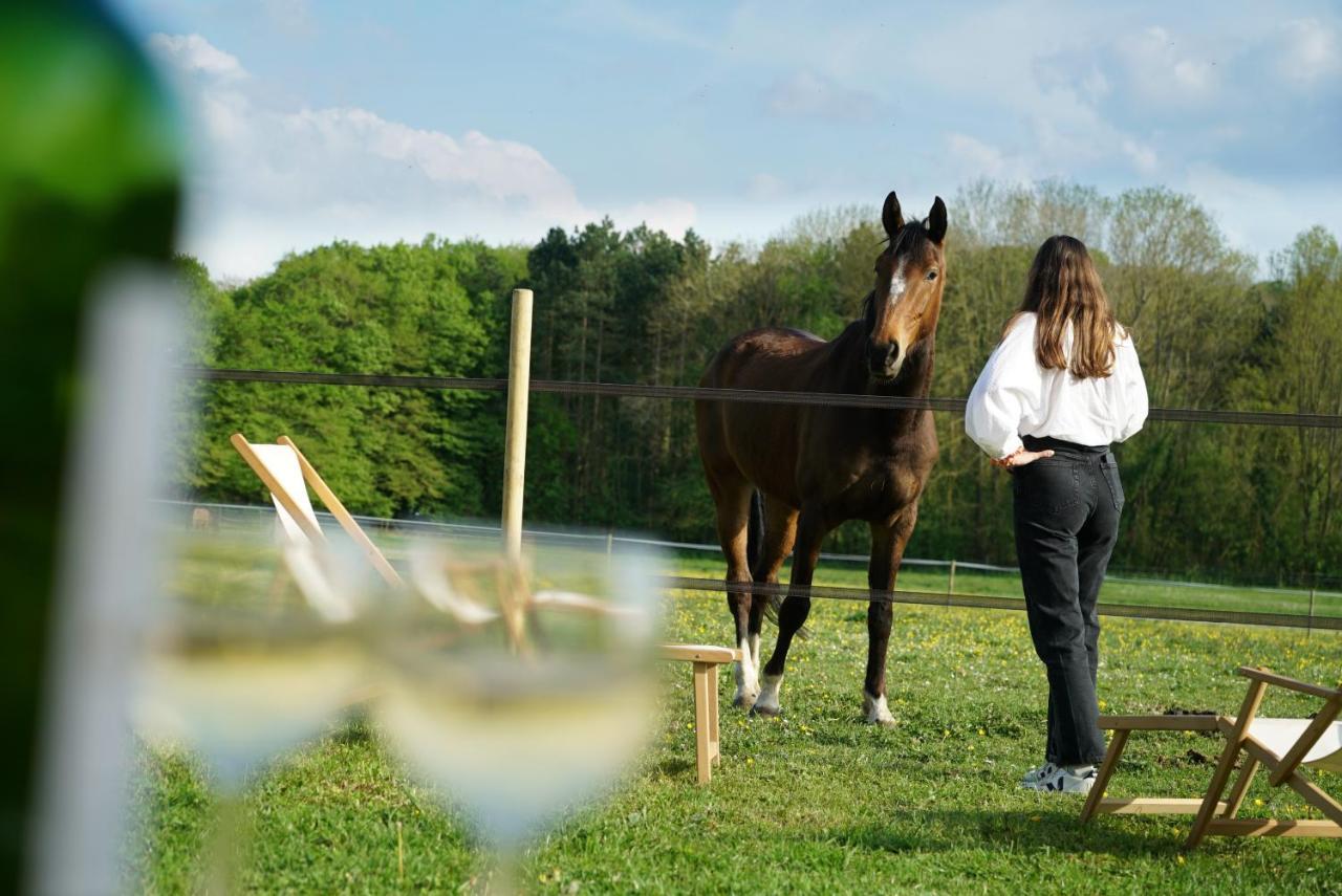 Tiny House Centre Equestre - 35 Mins De Paris Villa Chambly Kültér fotó